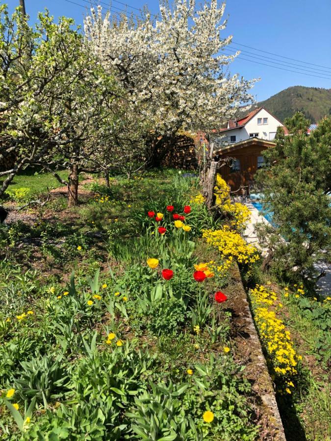 Ferienwohnungen Ries Eusserthal Zewnętrze zdjęcie